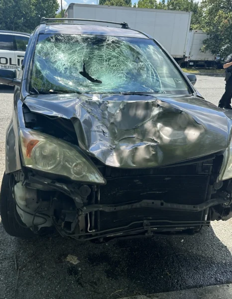 Migrant wanted for deadly hit and run in maryland captured trying to board plane at newark airport Migrant wanted for deadly hit and run in maryland captured trying to board plane at newark airport