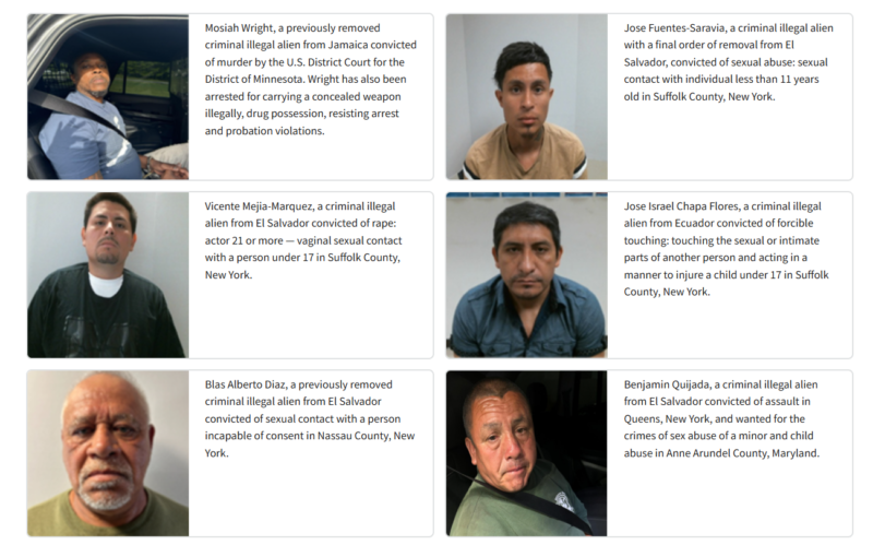 Ice arrests convicted murderers, child sex offenders and other violent criminal suspects across new york city region Ice arrests convicted murderers, child sex offenders and other violent criminal suspects across new york city region