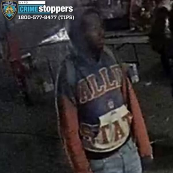 Wallet snatcher strikes after bronx street dispute