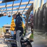 Dog recovered from manasquan lagoon after point pleasant beach dive team search