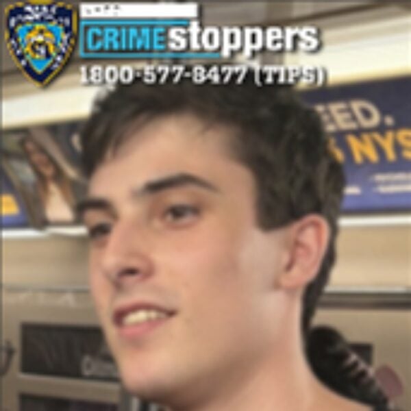 Yale student ari shtein accused of penetrating mom on nyc train in front of her children, released by da