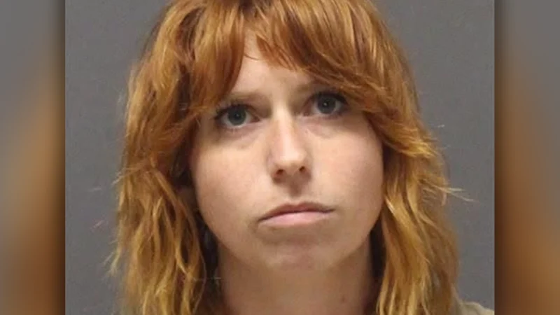 Woman who attacked child on new jersey boardwalk now in ice custody Woman who attacked child on new jersey boardwalk now in ice custody