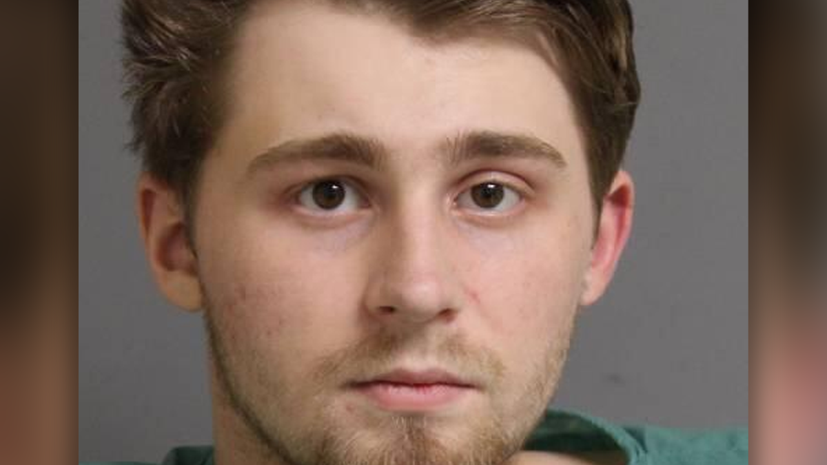 Hauppauge man sentenced in dwi crash that killed nassau police officer patricia espinosa