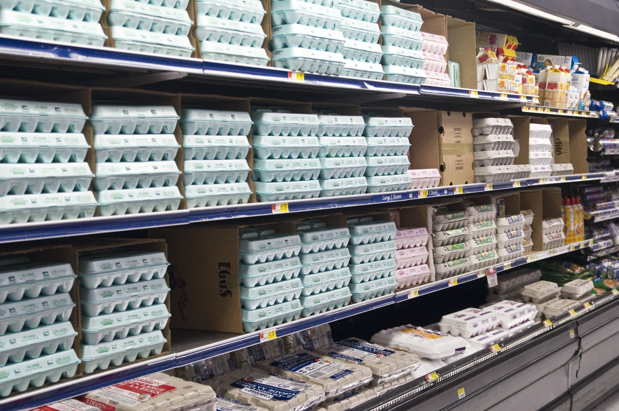 Doj says "big egg" price manipulation hurt consumers nationwide, including new jersey