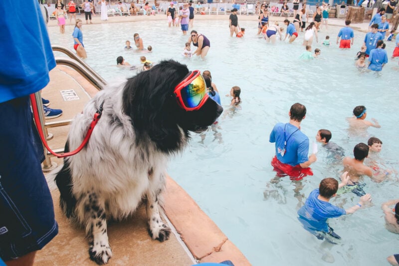 Breakwater beach waterpark offers free admission to new jersey beach lifeguards Breakwater beach waterpark offers free admission to new jersey beach lifeguards