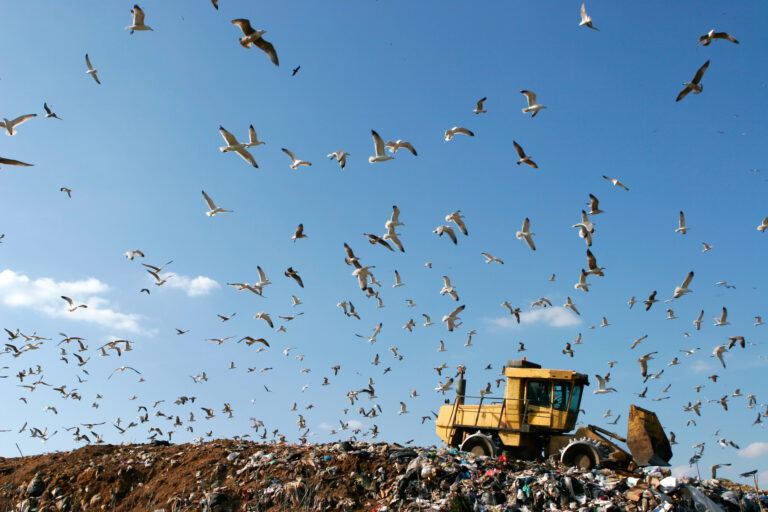Manchester Mayor Says No Plan to Close Landfill in the Near Future
