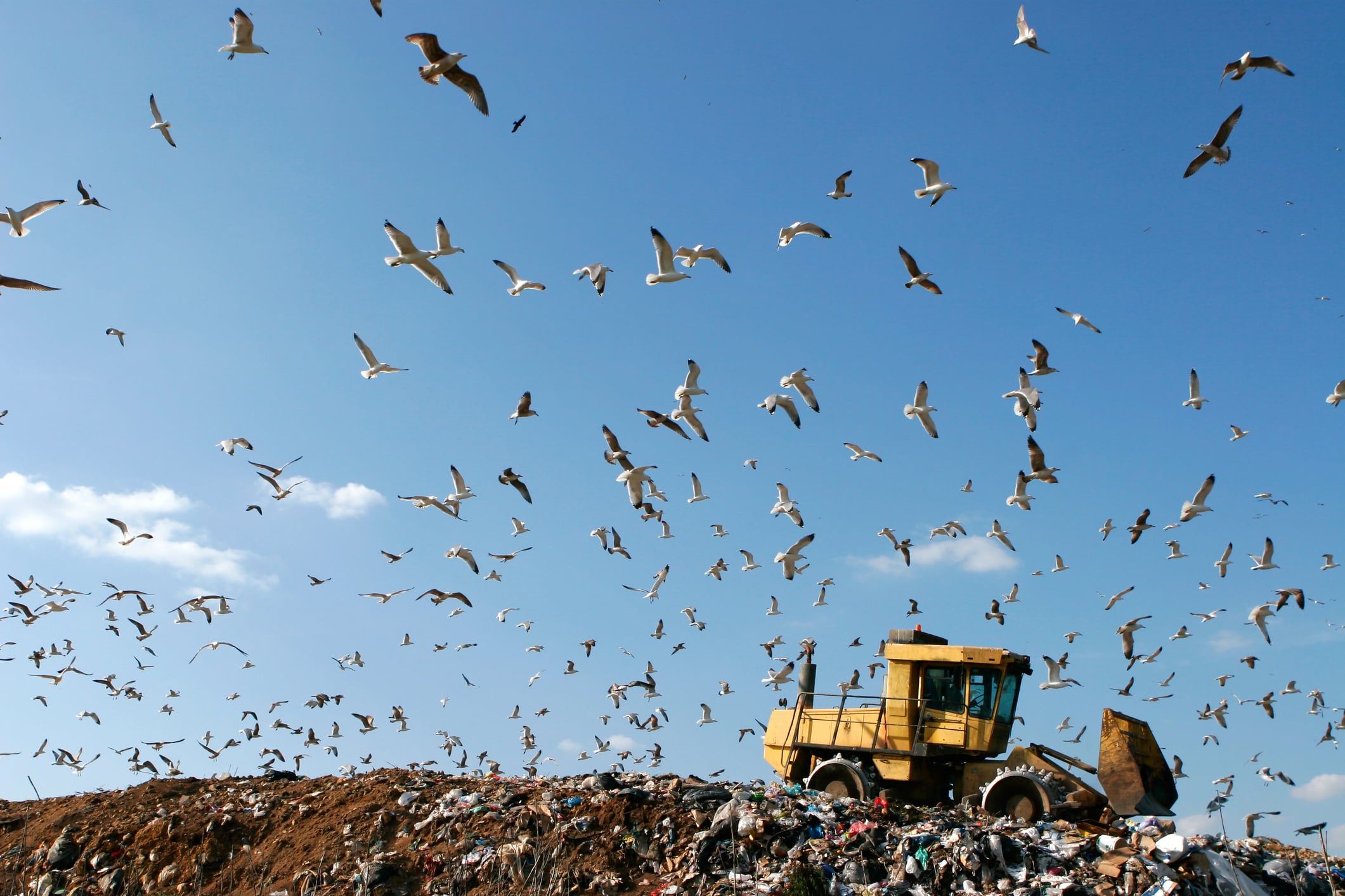Manchester mayor says no plan to close landfill in the near future
