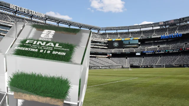 Fifa is now selling world cup grass paid for by new jersey taxpayers