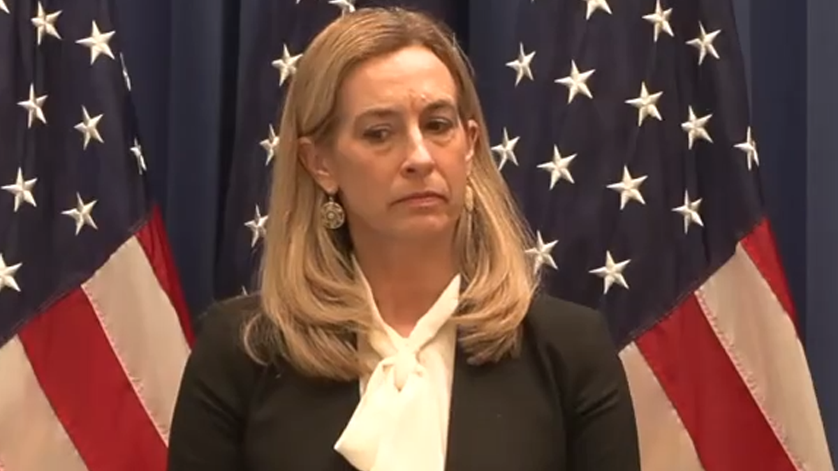 Mikie sherrill's 'software glitch' defense starting to fall apart after vendor pushes back