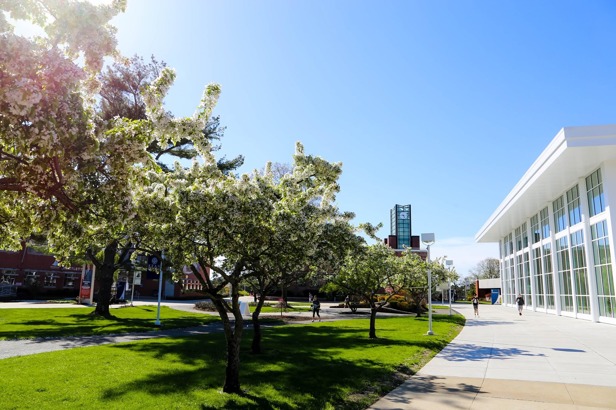 Ocean county college highlights record graduation numbers, ai expansion, mental health growth in latest board report