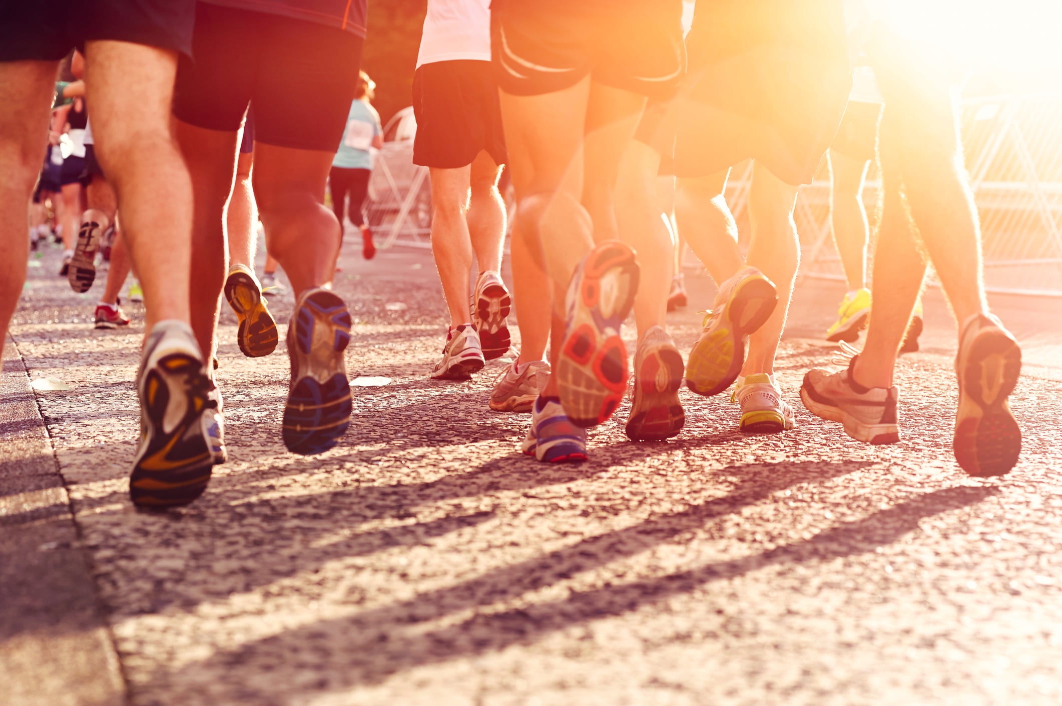 Wall township cancels firecracker 5 race after storm brings down large trees