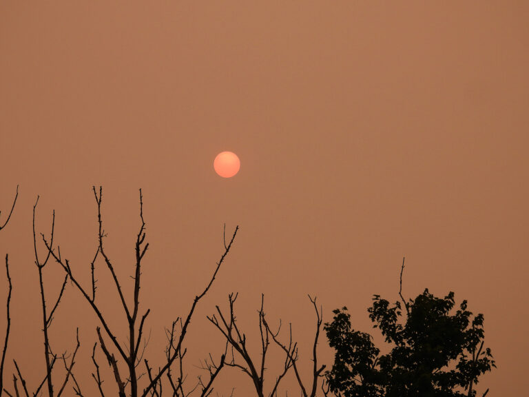 Canadian Wildfire Triggers Code Red Air Quality Alert in New Jersey: Officials Warn Everyone Is at Risk