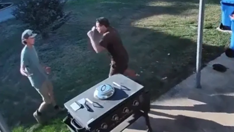 Ups driver throws box at dog, then challenges homeowner to a fight in viral video Ups driver throws box at dog, then challenges homeowner to a fight in viral video