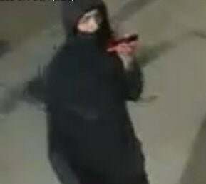 Armed carjackers rip driver from mercedes at bronx red light