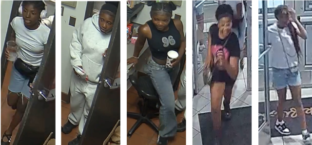 Vandals caught on camera after breaking into dc business