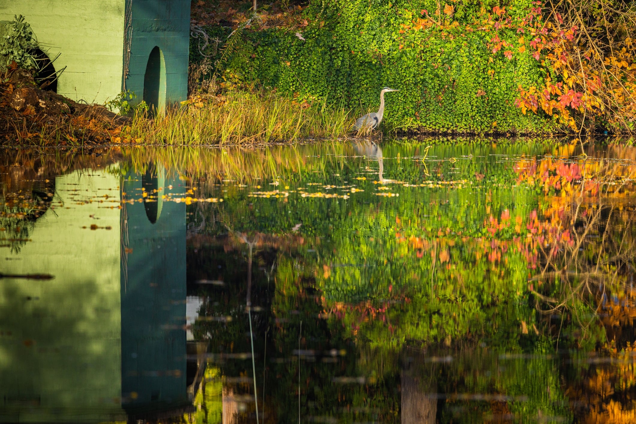 Mysterious white substance on new jersey lake traced to accidental transit garage release
