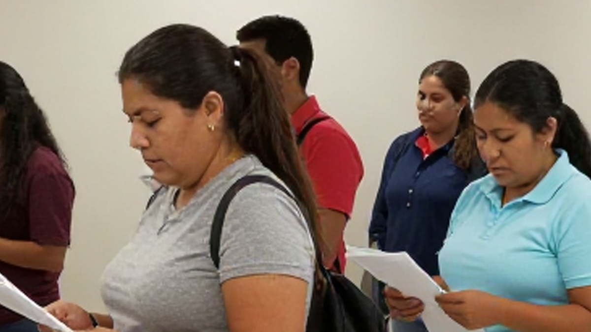 New jersey voting vendor says no glitch, disputes mikie sherrill's claims on illegal voter registrations