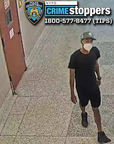 Gunman robs 69-year-old woman of necklace and cellphone in bronx attack