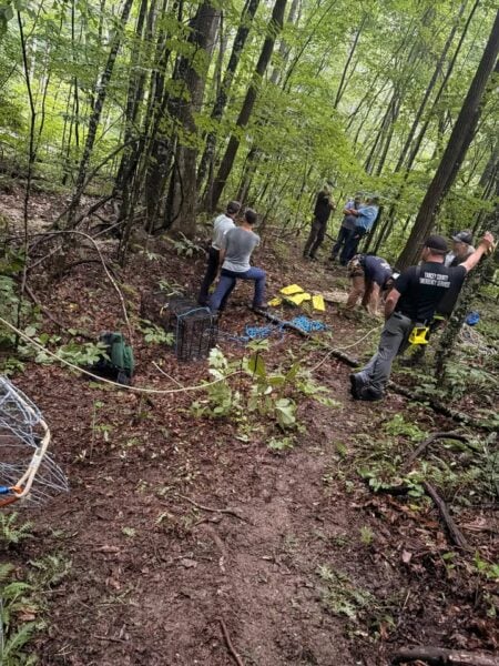 Pup saved from abandoned mine shaft in coordinated north carolina emergency response