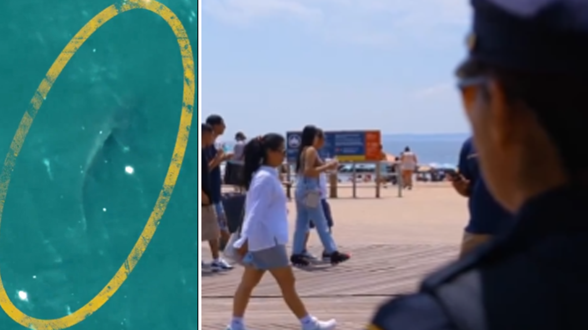 Great white shark lurks off coast of nyc as nypd deploys drones to monitor beaches