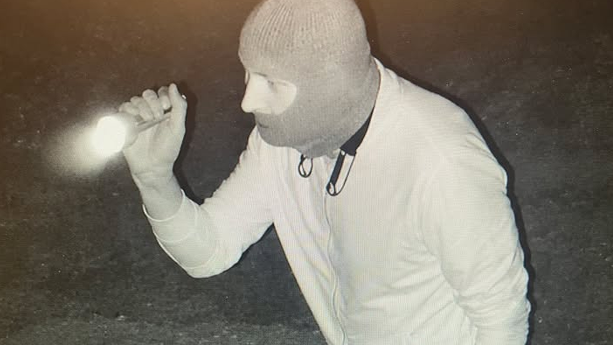 Masked Men Wanted for Copper Theft That Sparked Fire at Electric Substation