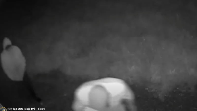 Masked men wanted for copper theft that sparked fire at electric substation Masked men wanted for copper theft that sparked fire at electric substation
