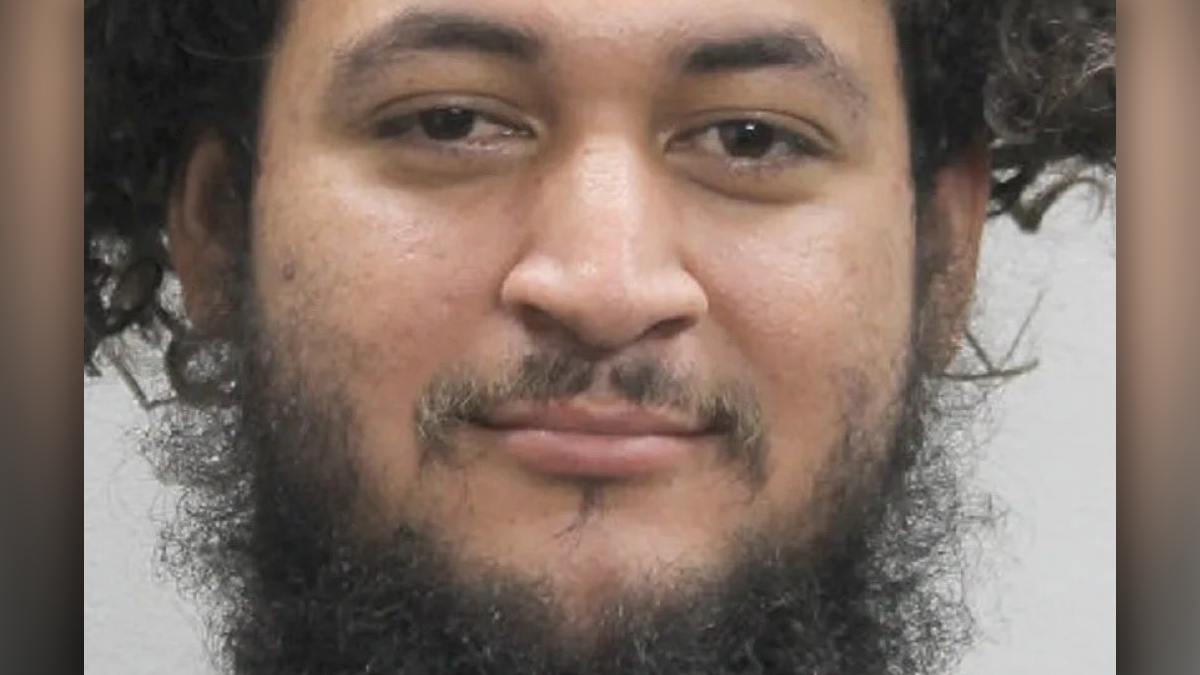 Illegal alien with prior dv charges chased woman with knife, pulled cop's gun before being shot