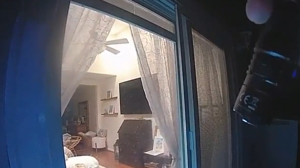 Lacey woman stabbed her dog, lunged at cops with knife before being shot, video shows