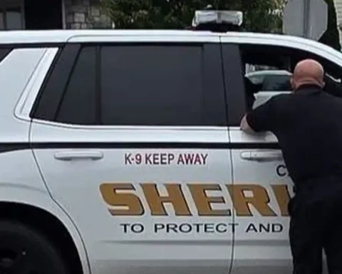 Cape May County Sheriff K9 Unit - Photo by Cape May Police Dept.