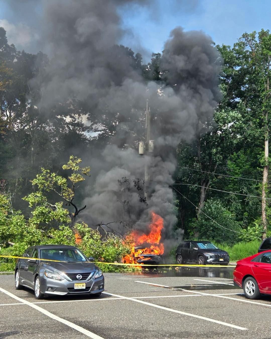Tree limb brings down power lines, sparks multi-vehicle fire at cherry hill apartment complex Tree limb brings down power lines, sparks multi-vehicle fire at cherry hill apartment complex