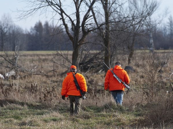 Pennsylvania hunters donated a record 294,844 pounds of venison from 8,382 deer, providing nearly 1.2 million servings for people facing food insecurity.