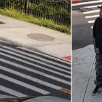 Dog shot by stray bullet in brooklyn