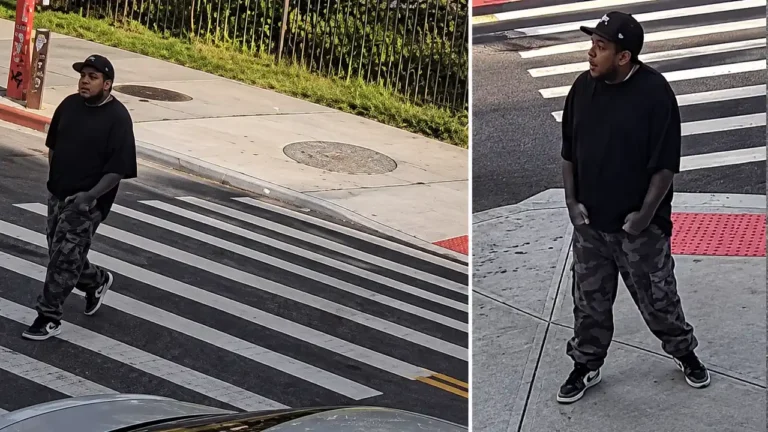 Dog Shot by Stray Bullet in Brooklyn