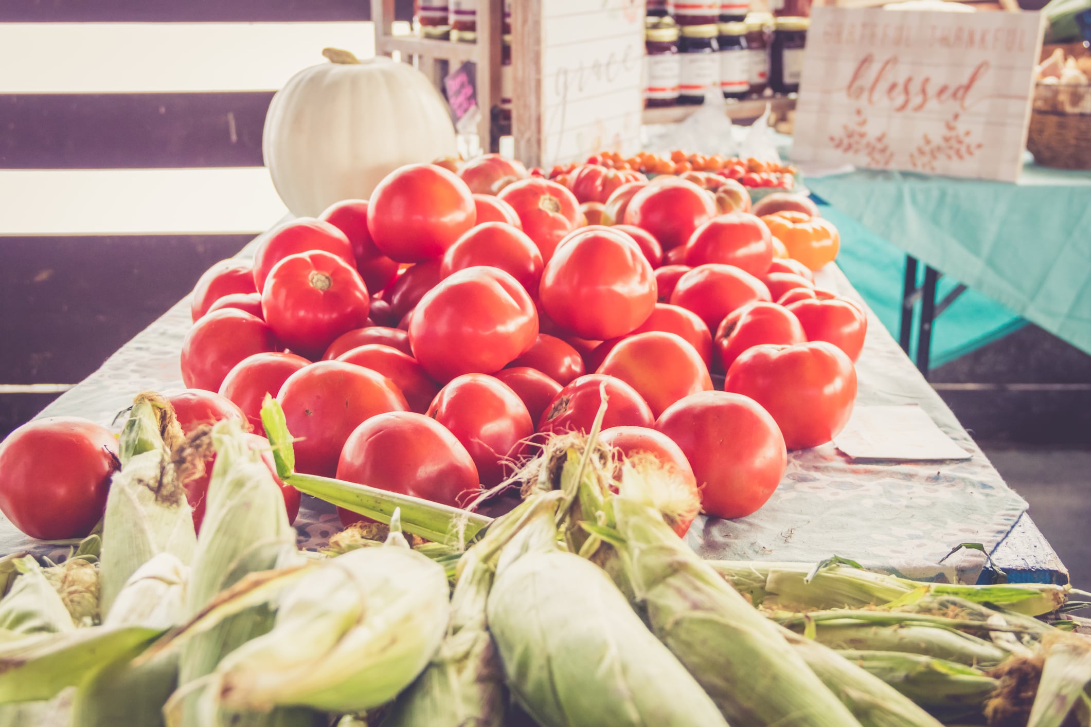 August means one thing in new jersey: it's finally jersey tomato season