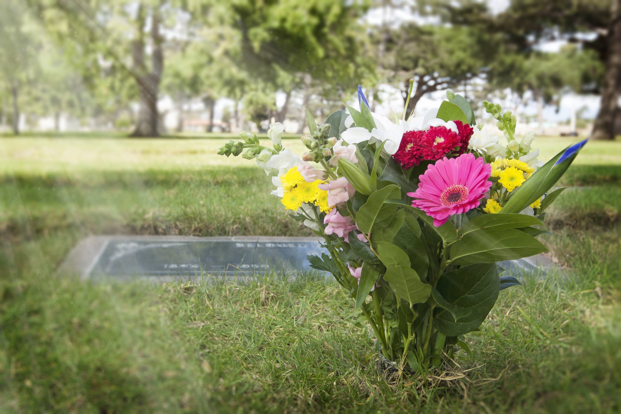 New cemetery proposed near jackson draws environmental questions, resident concerns