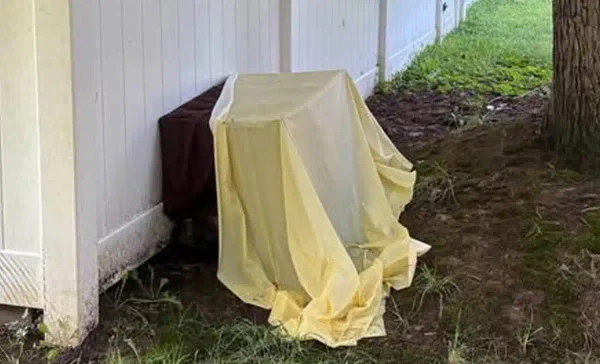 Animal control investigating two dogs found dead in edgewood