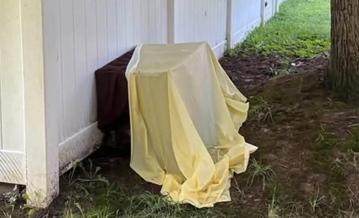 Animal control investigating two dogs found dead in edgewood