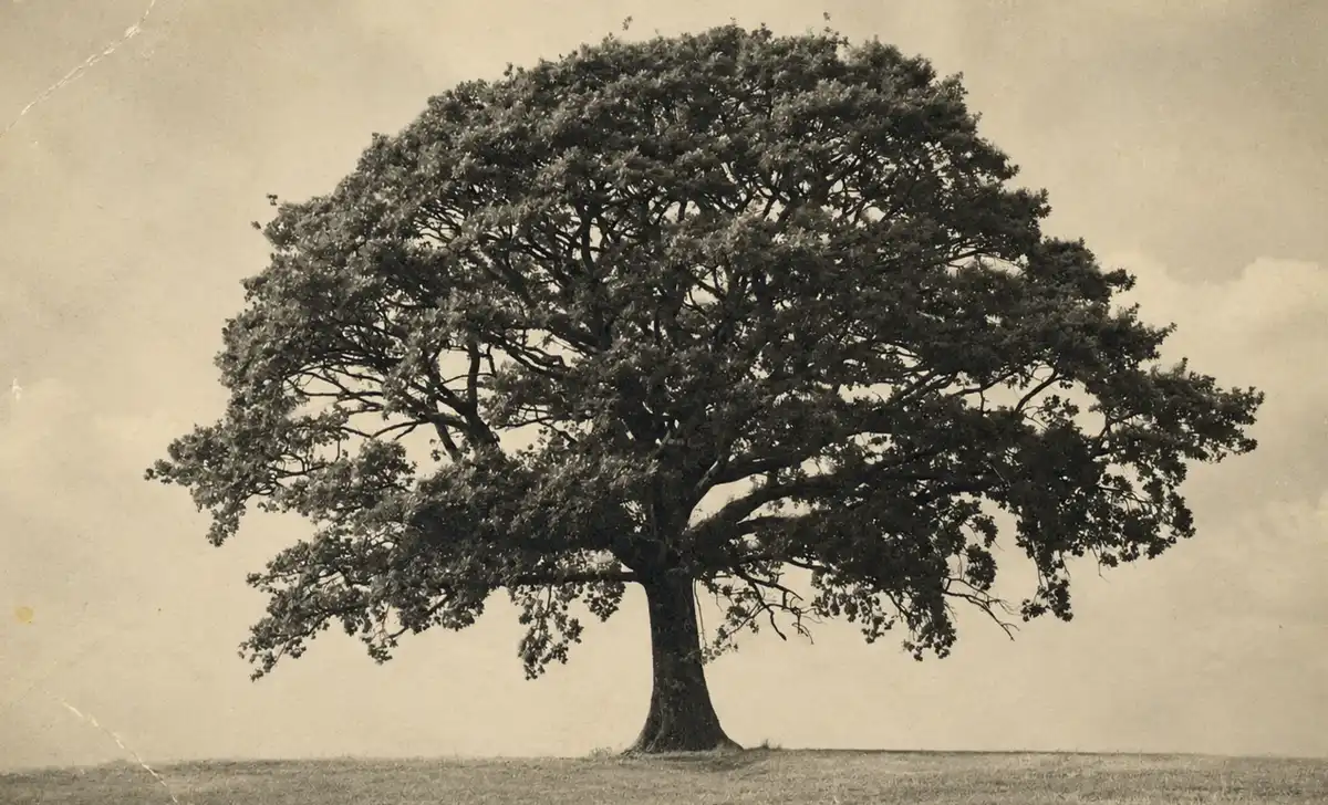 Photo caption: maryland lawmakers in annapolis are considering senate joint resolution 3, a formal apology for the state's role in racial terror lynchings.