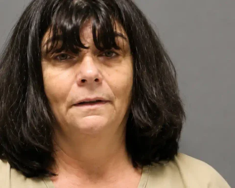 Photo Caption: Lisa L. Erikson pleaded guilty to three charges stemming from the assault of an elderly resident at a Manchester Township rehabilitation and nursing facility.