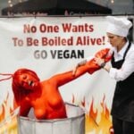 Peta stages dramatic ‘human lobster’ protest outside jersey shore seafood restaurant