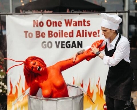 PETA staged a dramatic protest outside Cousins Maine Lobster in Asbury Park on Friday, using a body-painted "human lobster" to protest the practice of boiling lobsters alive and encourage diners to choose vegan alternatives.
