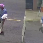 Newark police are searching for a suspect accused of robbing a woman of her cellphone while she was taking out the trash outside her apartment.