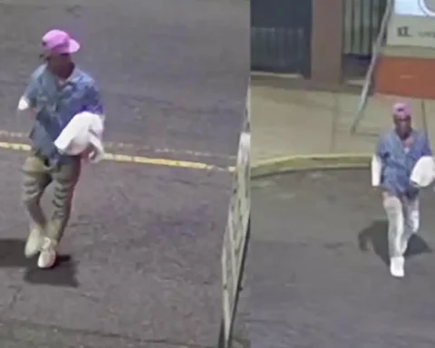 Newark police are searching for a suspect accused of robbing a woman of her cellphone while she was taking out the trash outside her apartment.