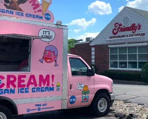 PETA's "iScream" truck is heading to Friendly's in Toms River to distribute free vegan ice cream while urging the restaurant chain to add dairy-free frozen dessert options.