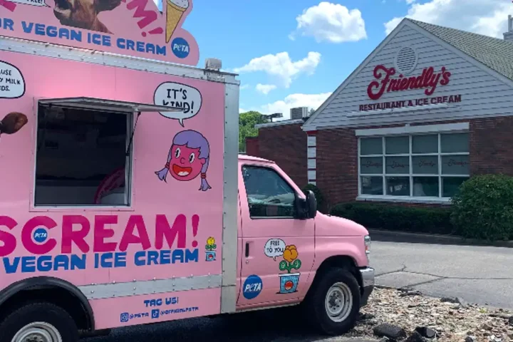Peta bringing 'iscream' protest truck to toms river friendly's with free vegan ice cream giveaway