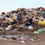 Did new jersey’s plastic bag ban backfire? Studies tell two different stories