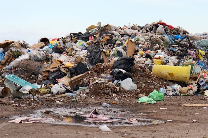 Photo Caption: New Jersey’s 2022 plastic carryout bag ban dramatically reduced disposable checkout bags, but researchers have documented an unintended accumulation of heavier reusable bags.