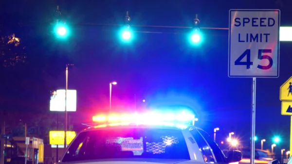 Police Traffic Stop