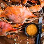 Photo Caption: The South Jersey Seafood & Music Festival returns to Washington Lake Park in Sewell Saturday with food, live music and family attractions.