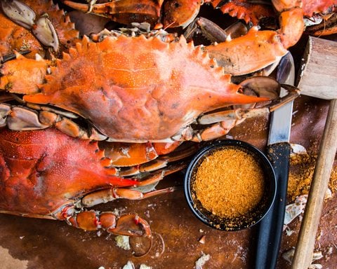Photo Caption: The South Jersey Seafood & Music Festival returns to Washington Lake Park in Sewell Saturday with food, live music and family attractions.